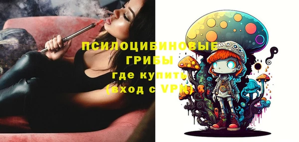 МДПВ Покровск